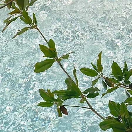 Hotel Stefanakis & Vári